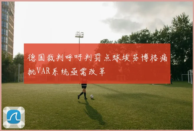德国裁判呼吁判罚点球埃芬博格痛批VAR系统亟需改革